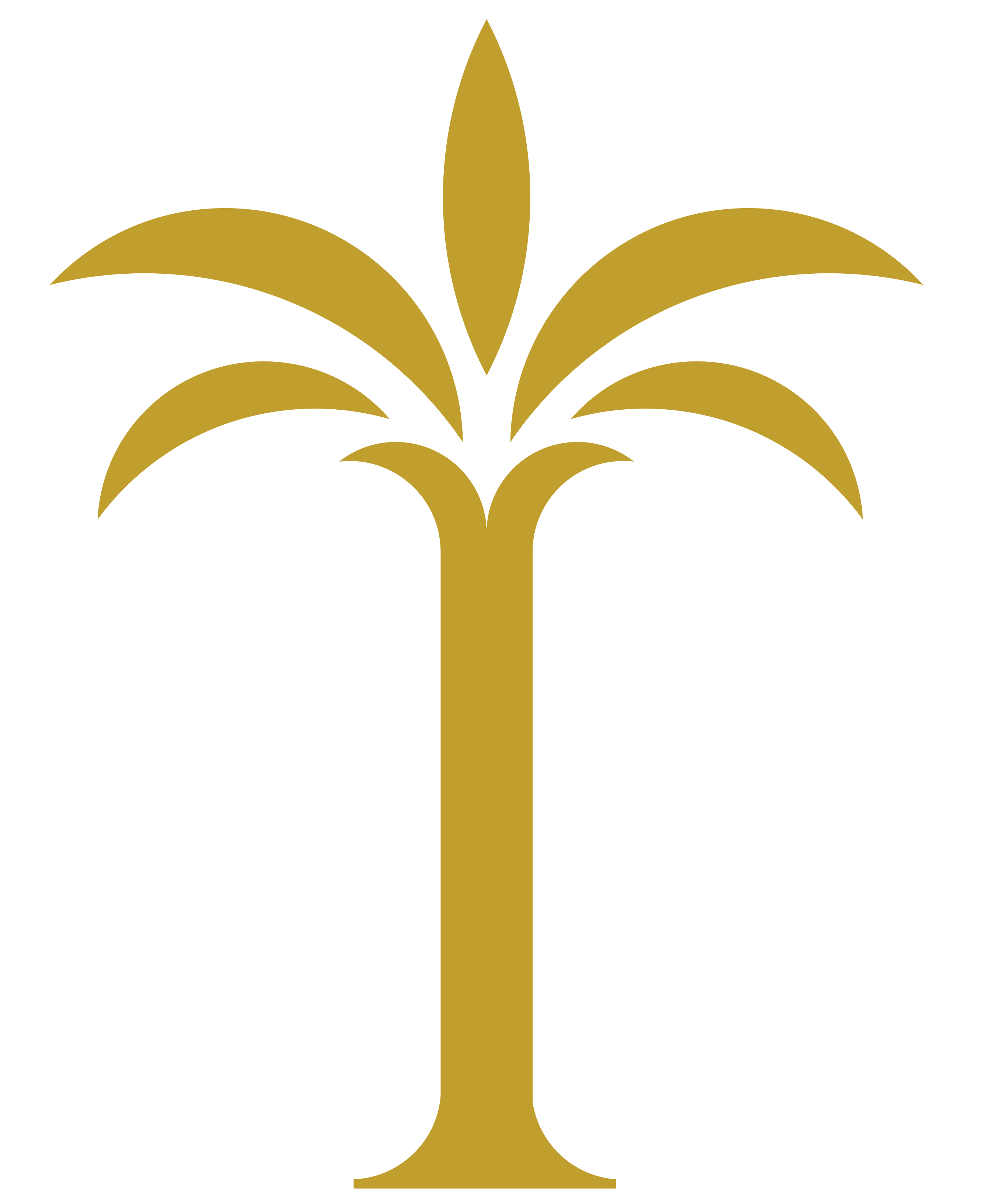 دلیبون